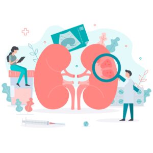 The health of the kidneys. Treatment of pyelonephritis. Doctors conduct medical research for kidney inflammation. Medical concept with tiny people. Flat vector illustration.