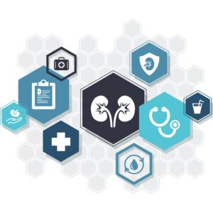 nephrology / dialysis / kidney disease treatment icon concept – vector illustration
